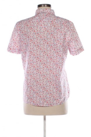 Damska koszula Brookshire, Rozmiar L, Kolor Kolorowy, Cena 69,99 zł