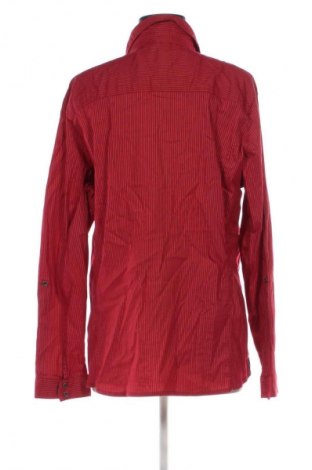 Damska koszula Cecil, Rozmiar XXL, Kolor Kolorowy, Cena 106,87 zł