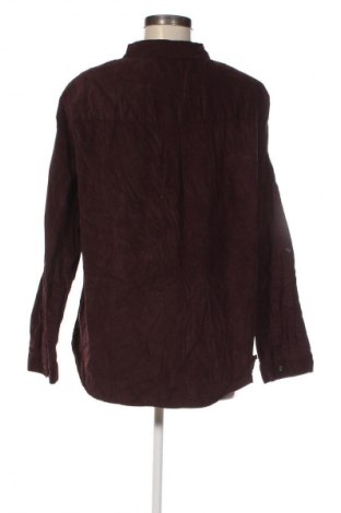 Damenbluse Cecil, Größe XL, Farbe Braun, Preis 12,99 €