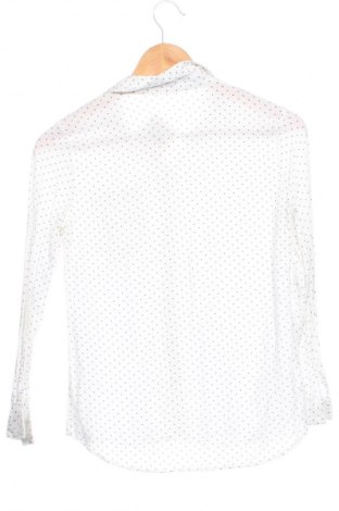 Damenbluse Cropp, Größe XS, Farbe Mehrfarbig, Preis € 9,99