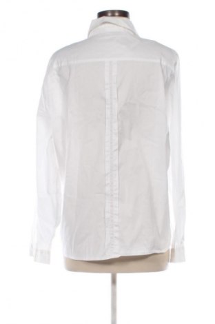 Damska koszula Elena Miro, Rozmiar XXL, Kolor Biały, Cena 154,99 zł