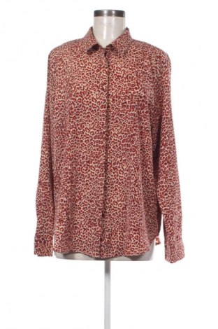 Damenbluse H&M, Größe XL, Farbe Mehrfarbig, Preis € 11,99