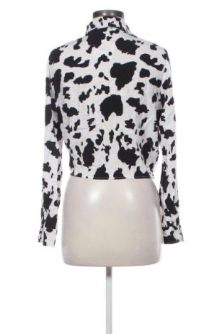 Damenbluse Pimkie, Größe XL, Farbe Mehrfarbig, Preis € 7,99