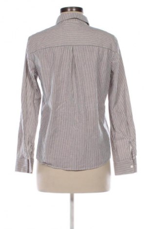 Damska koszula Sezane, Rozmiar S, Kolor Kolorowy, Cena 290,62 zł