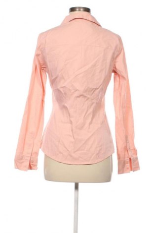 Dámská košile  Terranova, Velikost L, Barva Růžová, Cena  119,00 Kč