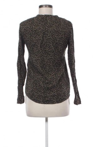 Γυναικείο πουκάμισο Terranova, Μέγεθος M, Χρώμα Πολύχρωμο, Τιμή 5,99 €