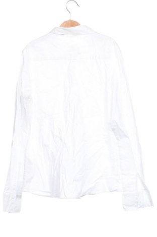 Damenbluse Vero Moda, Größe XS, Farbe Weiß, Preis 10,23 €