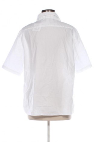 Dámska košeľa  Walbusch, Veľkosť XL, Farba Biela, Cena  23,95 €