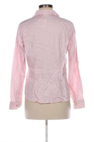 Γυναικείο πουκάμισο Wallmann, Μέγεθος M, Χρώμα Ρόζ , Τιμή 8,99 €