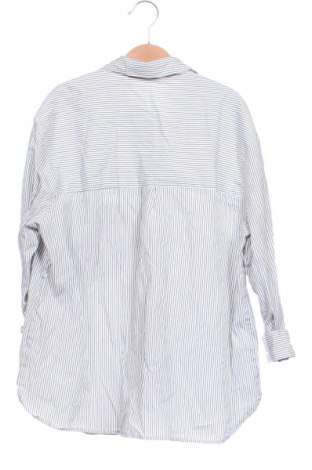 Damenbluse Zara, Größe XS, Farbe Mehrfarbig, Preis 13,81 €