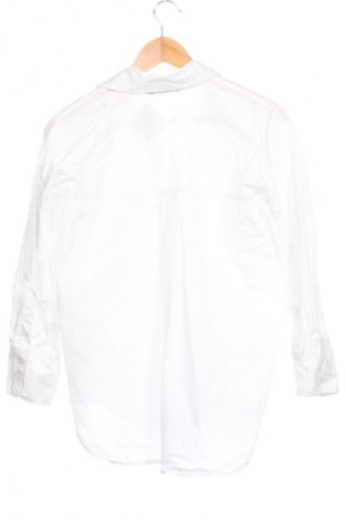 Damenbluse Zara, Größe XS, Farbe Weiß, Preis 18,99 €