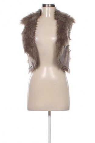 Damenweste Clockhouse, Größe XS, Farbe Grau, Preis € 14,99