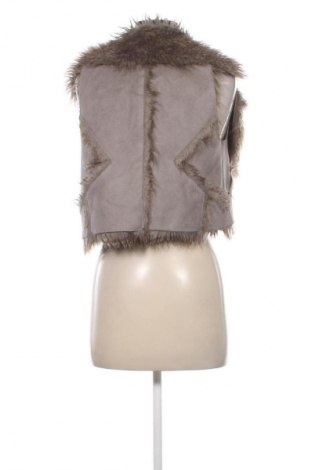 Damenweste Clockhouse, Größe XS, Farbe Grau, Preis € 14,99