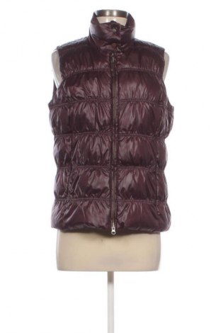 Damenweste Comma,, Größe S, Farbe Rot, Preis € 25,99