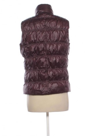 Damenweste Comma,, Größe S, Farbe Rot, Preis € 25,99