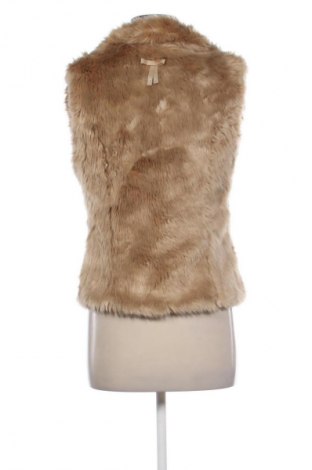 Γυναικείο γιλέκο Silvian Heach, Μέγεθος XXS, Χρώμα  Μπέζ, Τιμή 74,70 €