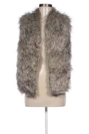 Γυναικείο γιλέκο The Limited, Μέγεθος XS, Χρώμα Γκρί, Τιμή 10,99 €