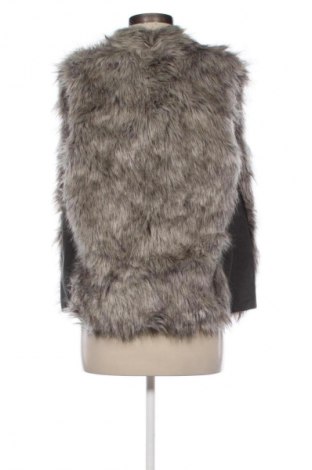 Γυναικείο γιλέκο The Limited, Μέγεθος XS, Χρώμα Γκρί, Τιμή 10,99 €