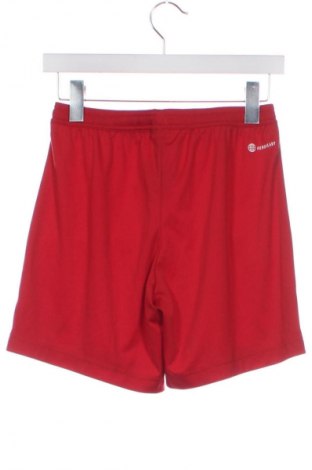 Dámské kraťasy  Adidas, Velikost XS, Barva Červená, Cena  430,00 Kč