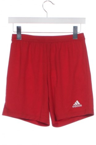 Dámské kraťasy  Adidas, Velikost XS, Barva Červená, Cena  430,00 Kč