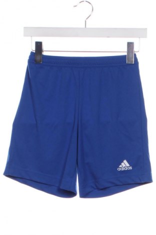 Dámské kraťasy  Adidas, Velikost XXS, Barva Modrá, Cena  430,00 Kč