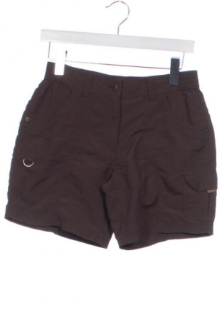 Damskie szorty Icepeak, Rozmiar XS, Kolor Brązowy, Cena 110,34 zł
