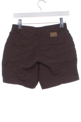 Damskie szorty Icepeak, Rozmiar XS, Kolor Brązowy, Cena 110,34 zł
