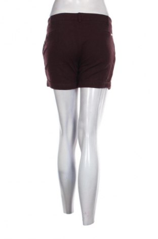 Damen Shorts Unbranded, Größe XL, Farbe Rot, Preis € 10,23