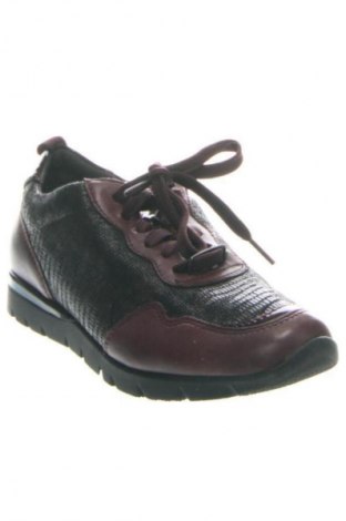 Damenschuhe Jana, Größe 38, Farbe Mehrfarbig, Preis 40,99 €