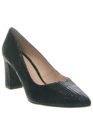 Dámske topánky  QUAZI, Veľkosť 40, Farba Čierna, Cena  58,00 €