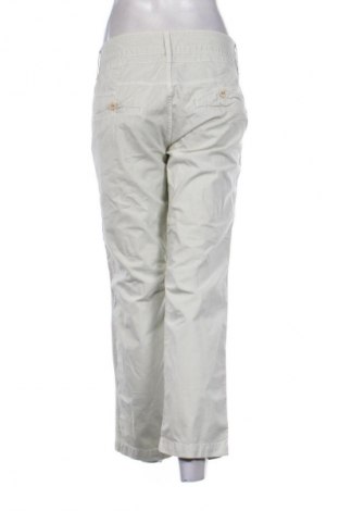 Damenhose Closed, Größe XL, Farbe Grün, Preis 79,99 €