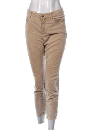 Damskie spodnie Closed, Rozmiar XL, Kolor Kolorowy, Cena 141,99 zł