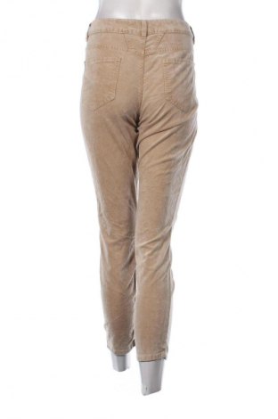 Damskie spodnie Closed, Rozmiar XL, Kolor Kolorowy, Cena 141,99 zł