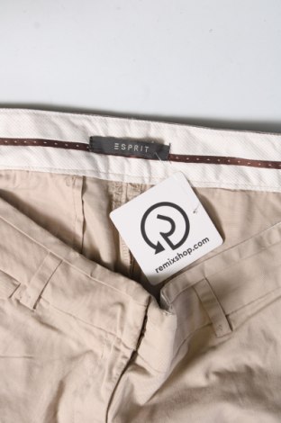 Dámské kalhoty  Esprit, Velikost M, Barva Hnědá, Cena  259,00 Kč