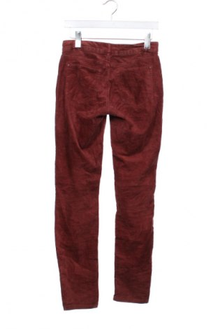 Дамски панталон Esprit, Размер XS, Цвят Кафяв, Цена 13,99 лв.