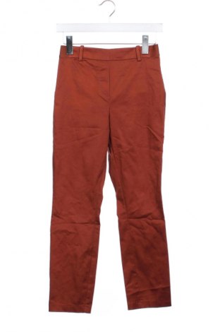 Damenhose H&M, Größe XS, Farbe Braun, Preis 9,99 €