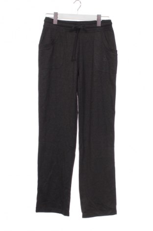 Damenhose Sports, Größe XS, Farbe Grau, Preis € 9,99
