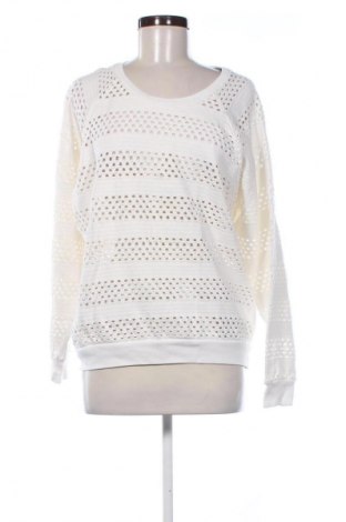 Damenpullover Closed, Größe S, Farbe Weiß, Preis 59,73 €