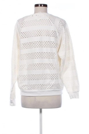 Damenpullover Closed, Größe S, Farbe Weiß, Preis 59,73 €