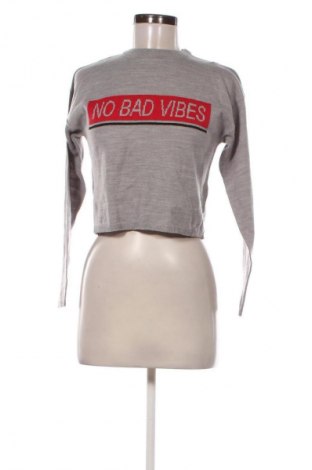 Damenpullover Terranova, Größe XS, Farbe Grau, Preis 10,99 €