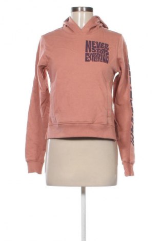 Damen Sweatshirt The North Face, Größe XS, Farbe Braun, Preis € 104,99