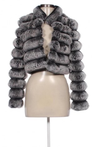 Damski płaszcz Anewsta, Rozmiar XS, Kolor Kolorowy, Cena 220,69 zł