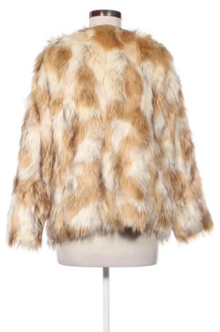 Dámsky kabát  Hollister, Veľkosť XL, Farba Viacfarebná, Cena  46,95 €