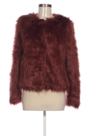 Dámsky kabát  Seven Sisters, Veľkosť M, Farba Hnedá, Cena  48,95 €