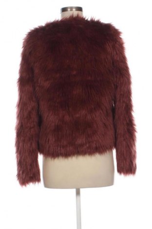 Dámsky kabát  Seven Sisters, Veľkosť M, Farba Hnedá, Cena  48,95 €