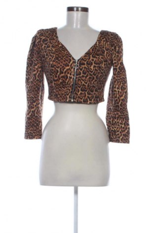 Damen Blazer Zara, Größe M, Farbe Mehrfarbig, Preis € 20,99