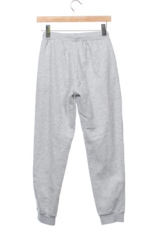 Damskie spodnie sportowe Even&Odd, Rozmiar XS, Kolor Szary, Cena 59,99 zł