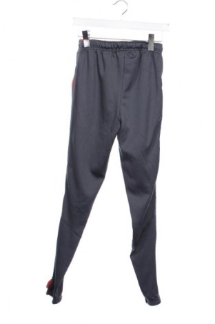 Дамско спортно долнище Kipsta, Размер XS, Цвят Сив, Цена 22,99 лв.