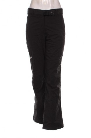 Damen Sporthose Maul, Größe XL, Farbe Schwarz, Preis € 12,99