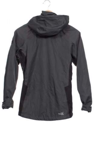 Damen Sportoberteil Salewa, Größe XS, Farbe Grün, Preis 47,99 €